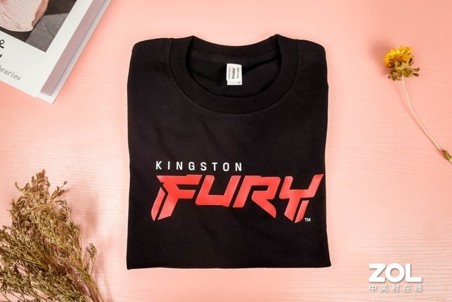 ض壡Kingston FURY糱Ȧ