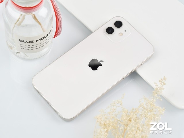 iPhone䡰ֱ iPhone 12ɫͼ