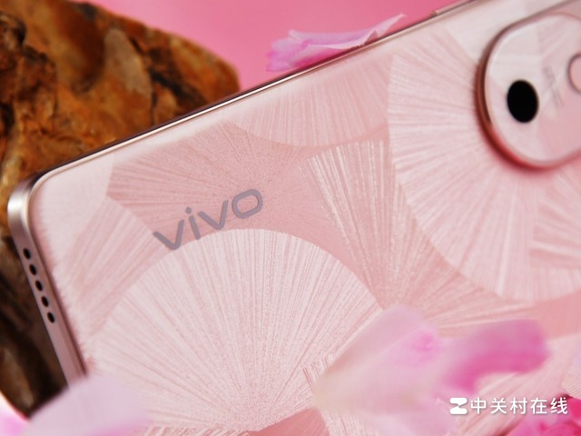 vivo S19ͼ֮֮ͣ̽