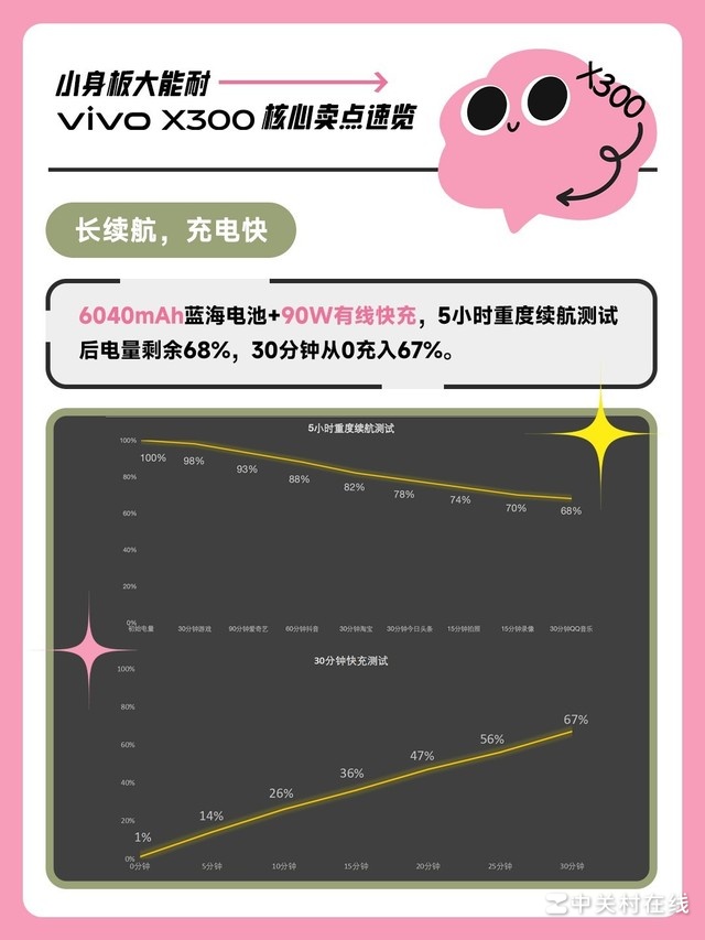 С��������� vivo X300�»���������