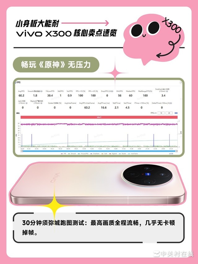 С��������� vivo X300�»���������