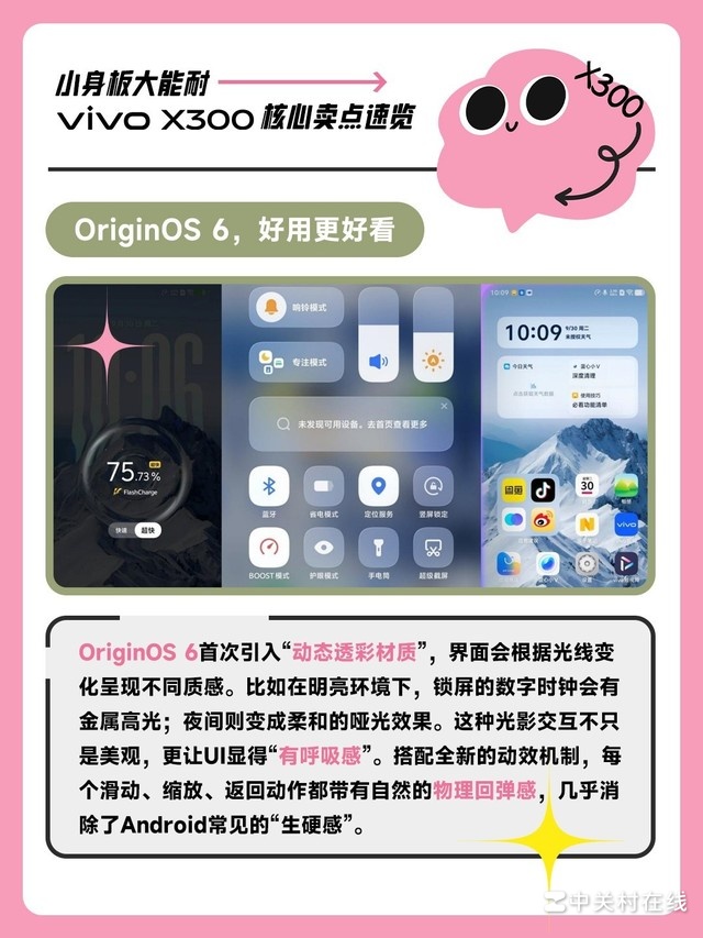 С��������� vivo X300�»���������