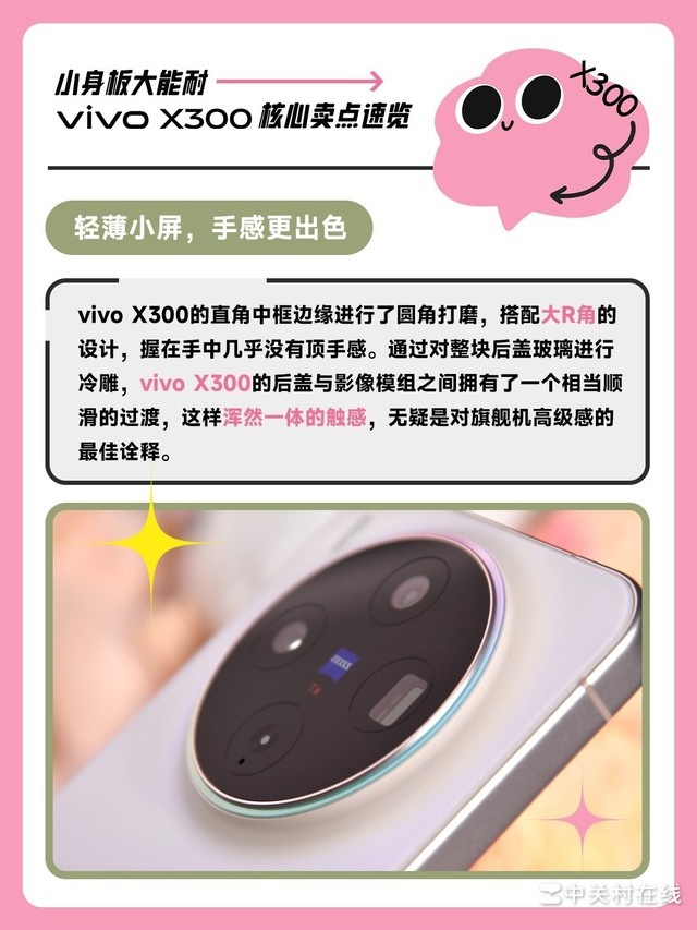 С��������� vivo X300�»���������