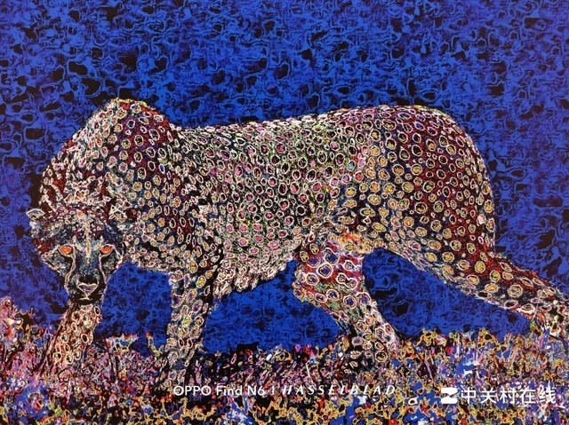 �۵���Ҳ�ܵ�Ӱ���콢 OPPO Find N6������