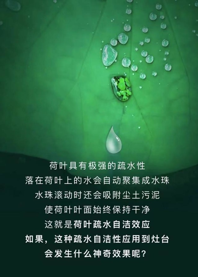 ˧Ἧܣ̽桰ħ