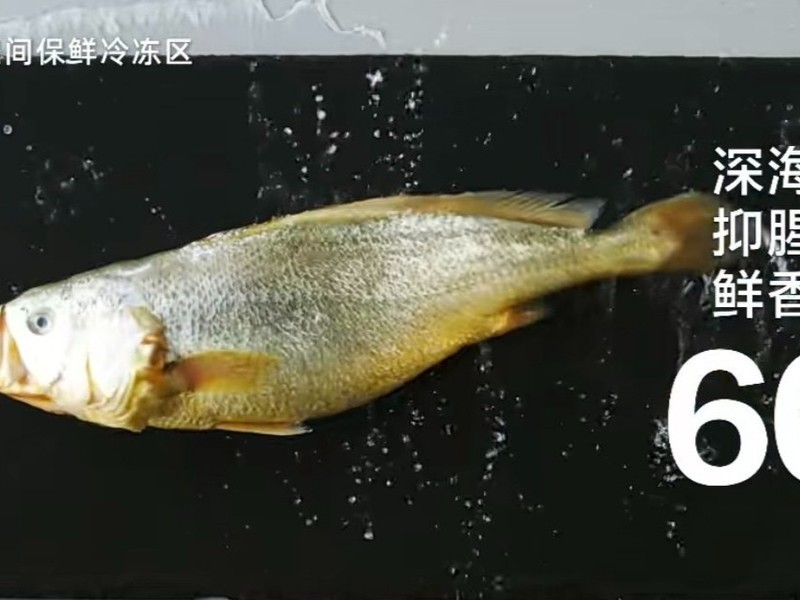 ESG͸ƷƷ㣬Ч