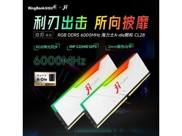 金百达白刃DDR5 6000MHz RGB内存