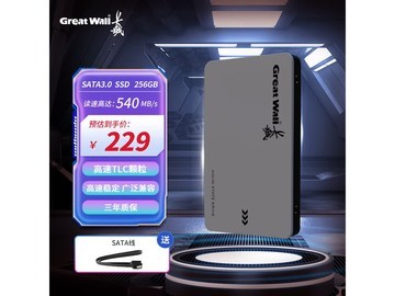 长城GW560 256GB SSD固态到手仅229元