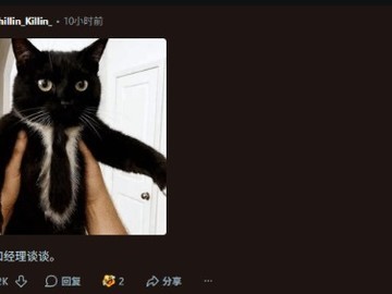 网友设计猫咪敌意结构阻猫趴机箱，引热议与替代方案讨论