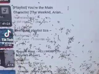 台式显示器惊现密集小虫引热议，专家解析成因与防治