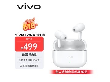 vivo TWS 5真无线降噪耳机