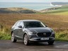 ѹȼԴCX-30