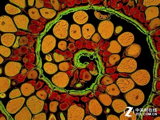 Yabo亚博官网地址相关图片